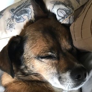 Meet your Posher, Jenny